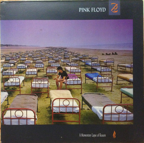 A Momentary Lapse Of Reason