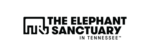 Elephant Sanctuary in Tennessee Founded