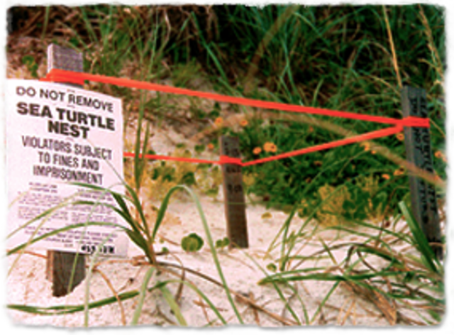 Endangered species act