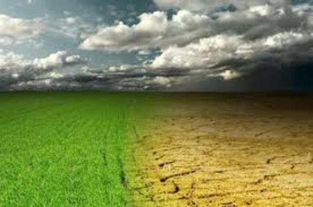 Αειφόρος Γεωργία