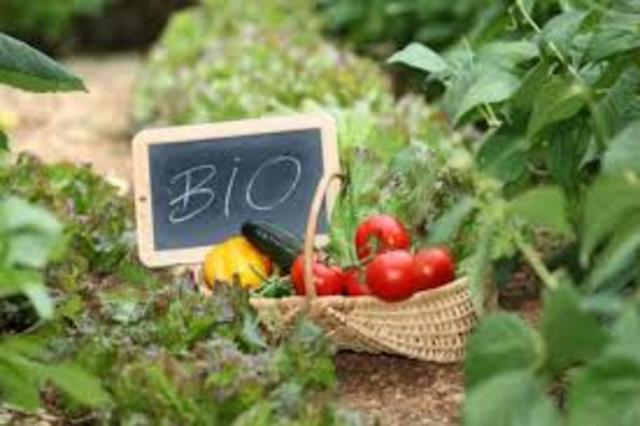 Βιολογική Γεωργία