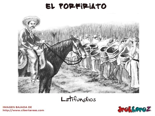 Las cortes señoriales (XII)