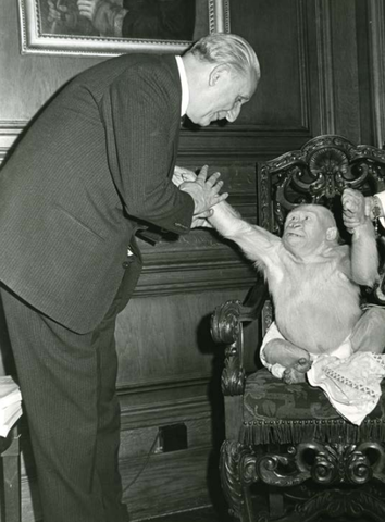 DATA ARRIBADA AL ZOO