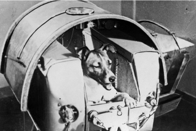 Sputnik 2, el primer animal en el espacio