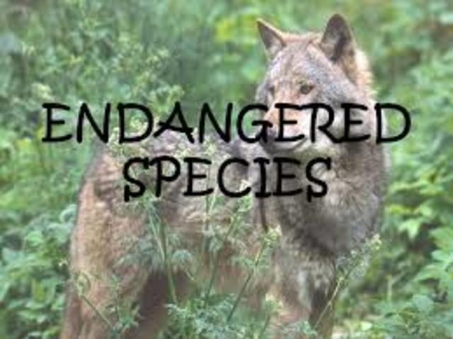 Endangered Species List