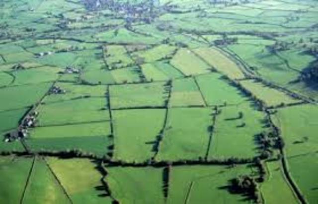 The Land Enclosure Movement