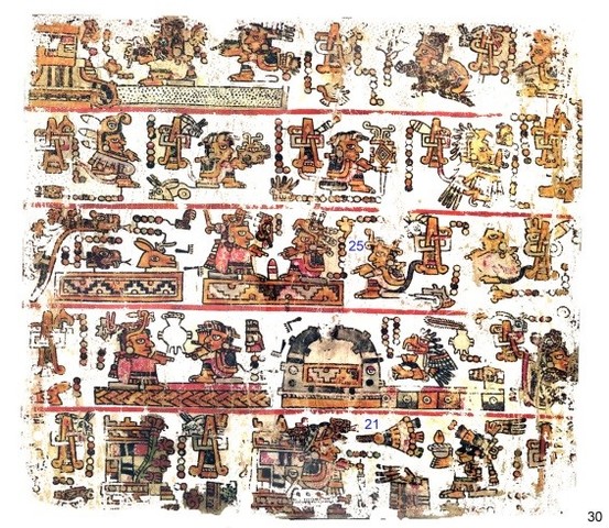 Organización social