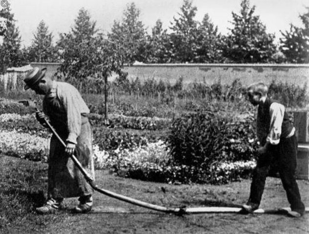 Inicio del cine de humor