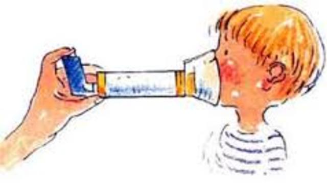 Se Crea programa IRA