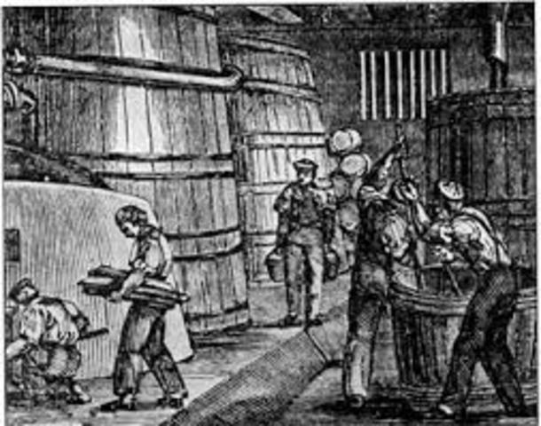 The Factory Acts passed in England