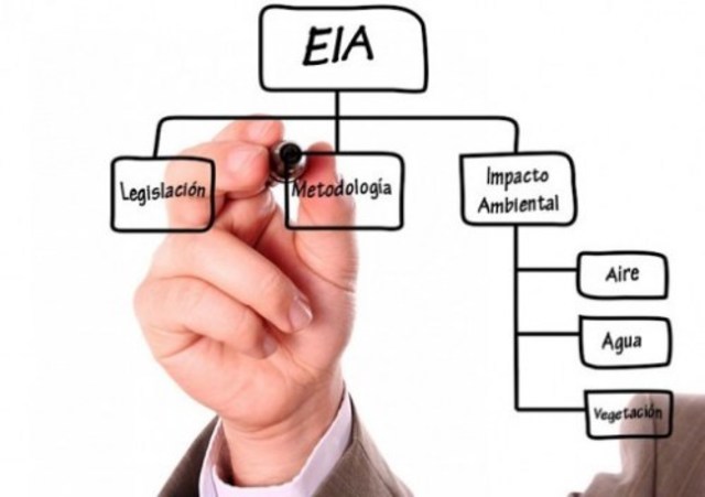 Primeros procedimientos formales de EIA