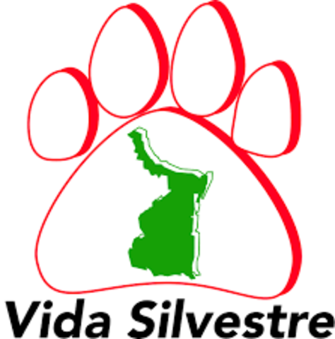 Publicación en el Diario Oficial de la Federación.