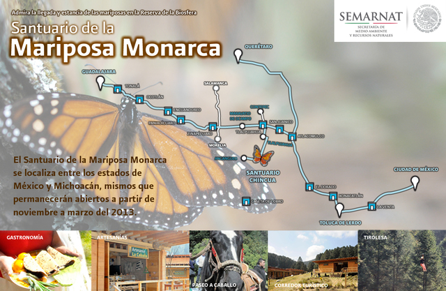 La UNESCO declara Reserva de la Biosfera de la Mariposa Monarca