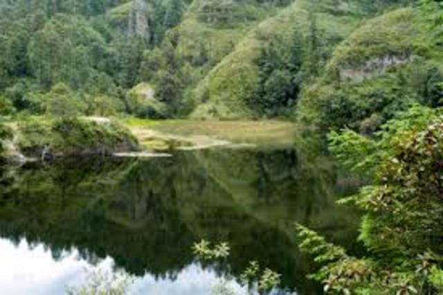 Publicado en el Diario Oficial de la Federación.