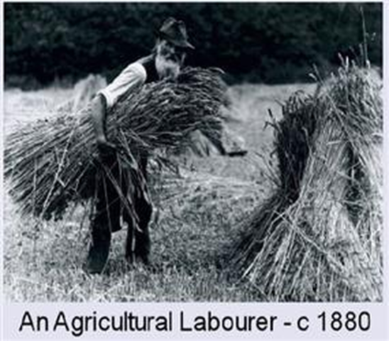 The Land Enclosure Movement