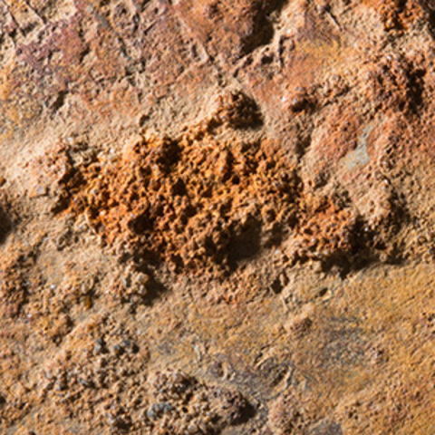 Earliest evidence of Aboriginal life in Australia