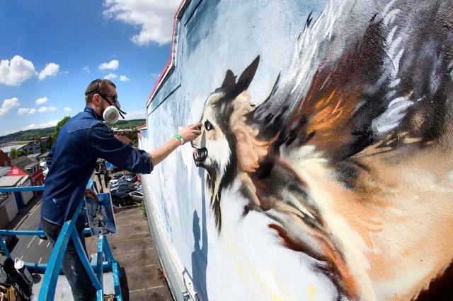 Graffiti Celebrations/Mural Programs