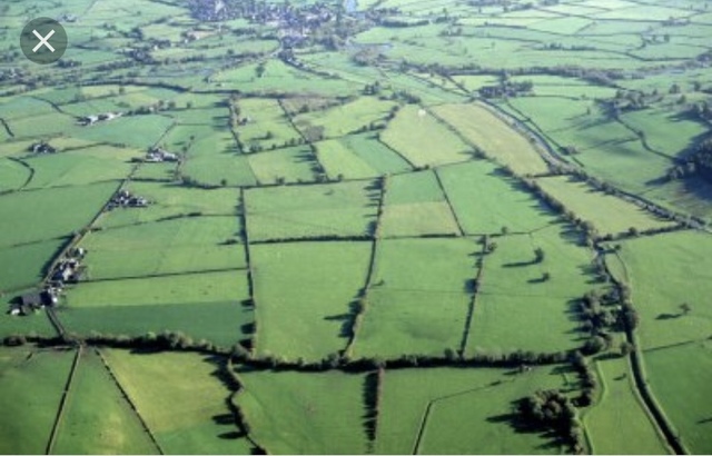 The Land Enclosure Movement