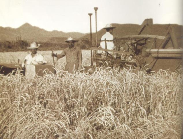 - PLAN AGRÍCOLA DE EMERGENCIA -