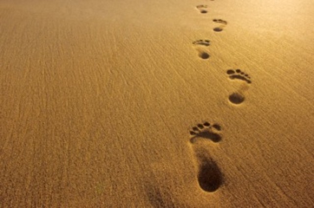 FOOTPRINTS