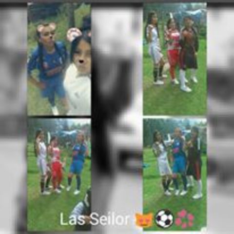 Las Seilor