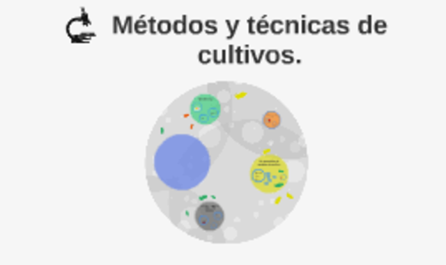 Brefeld contribuciones a la fitopatología