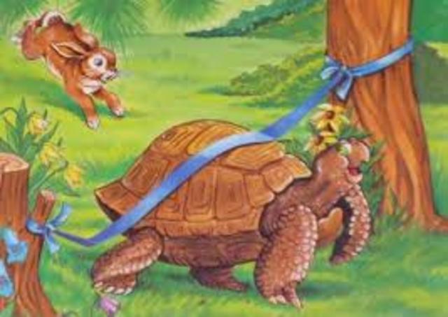 Χελώνα-λαγός