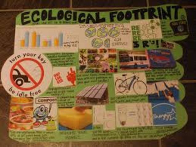 My ecological project