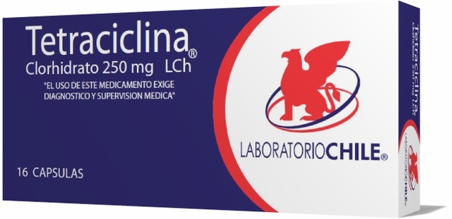 Doi y sus colegas (Japón)