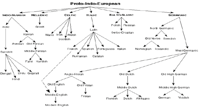 Proto-Indo-European splits into different languages (6000 years ago)