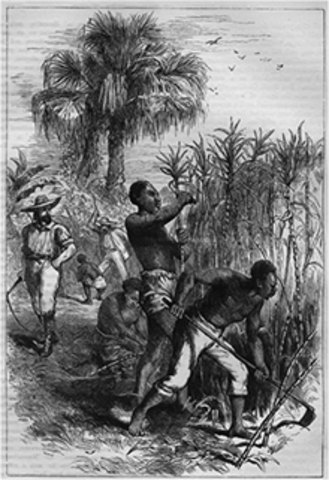 Slavery in Louisiana - "Creole" Changes Definition