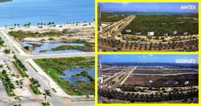 Manglar Tajamar, Cancún.