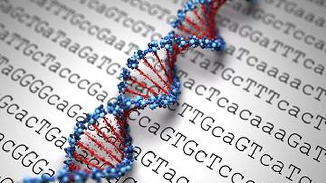 Identificación molecular de patógenos