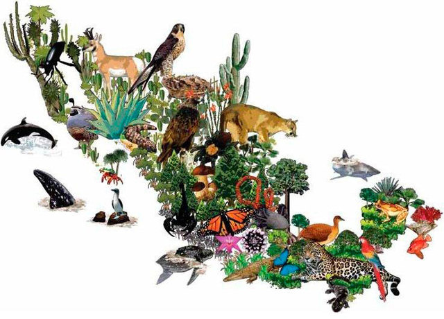 Ley General de Vida Silvestre