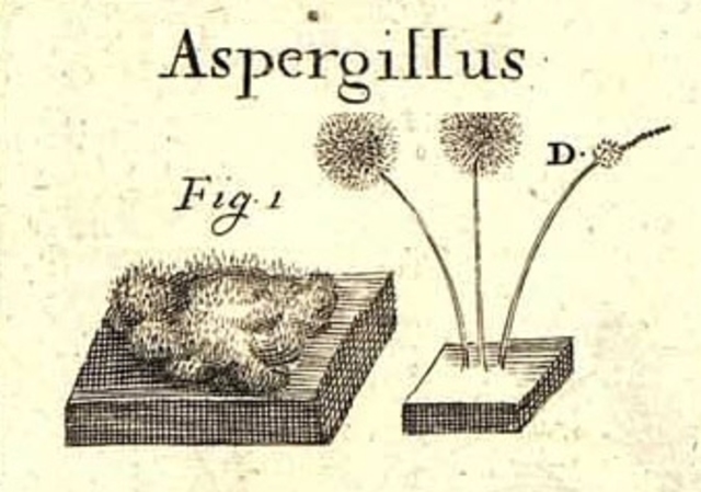 Generación Espontánea
