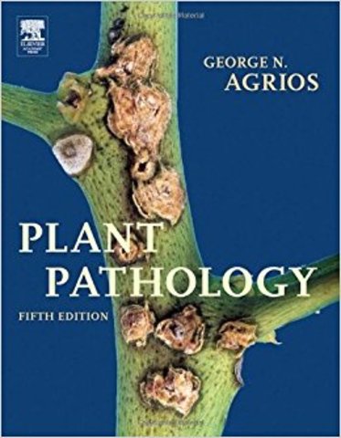 1900´s a la Actualidad