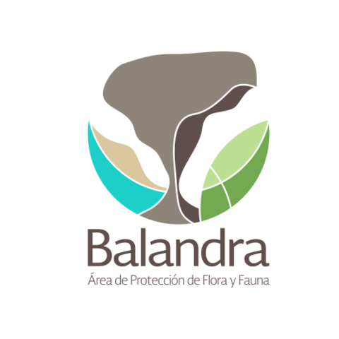 Felipe Calaron decreta a Balandra, como Área Natural Protegida