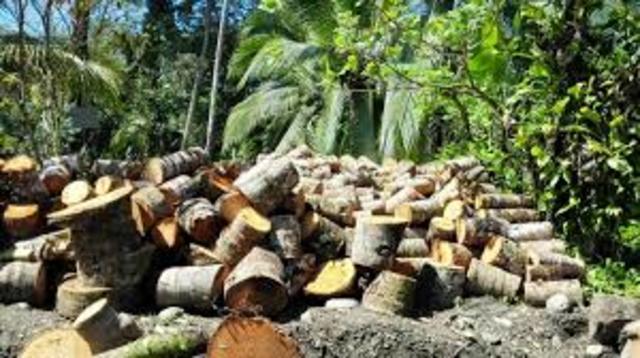 LFRA (LEY FEDERAL DE RESPONSABILIDAD AMBIENTAL)