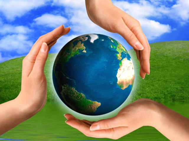 A nivel ambiental...