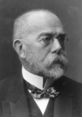 Robert Koch
