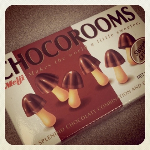 How Magic Mushrooms are consumed