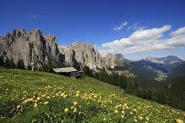 Te coa de la schieratola - La tana dello scoiattolo