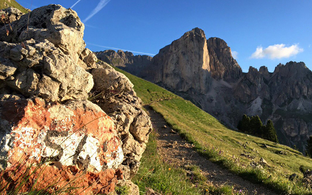 Sapori, sapere e dintorni