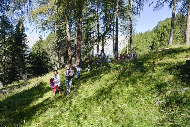 Un bosco di emozioni