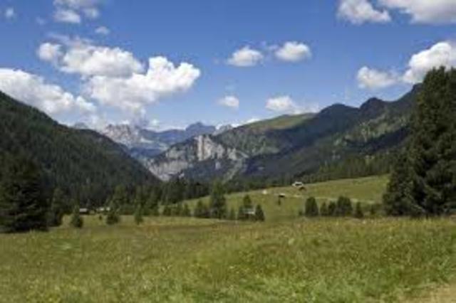 Escursione geologica al Buffaure: dagli antichi vulcani ai prati fioriti dei giorni nostri.