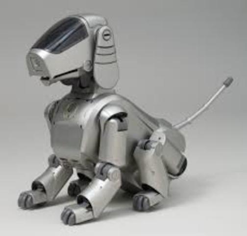Aibo