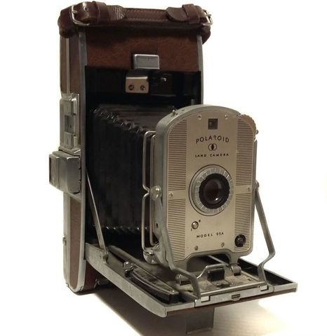 polaroid land