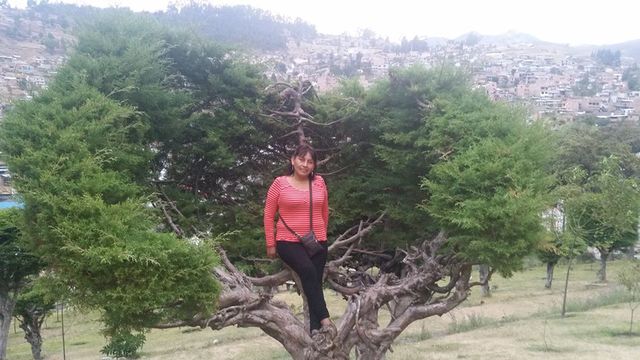 Trabajo en provincia de mamá