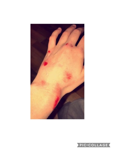 Estrellí mi longboard