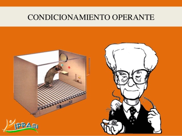 Condicionamiento operante
